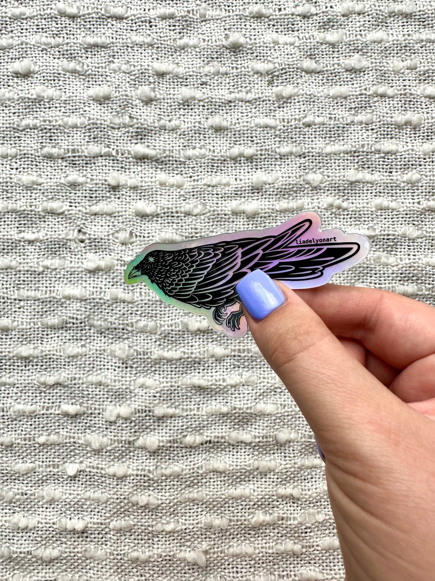 Starry Raven Holographic Sticker