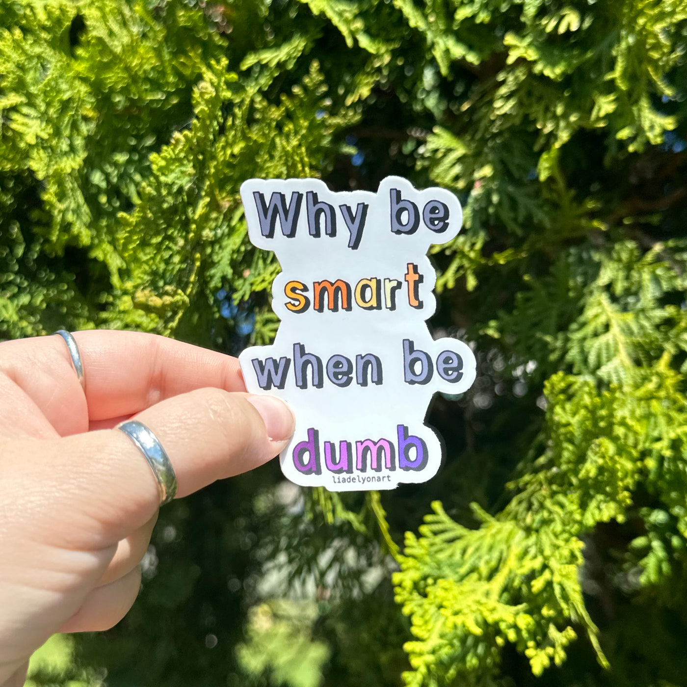 Why Be Smart When Be Dumb 2.3x3 in. Matte Vinyl Sticker