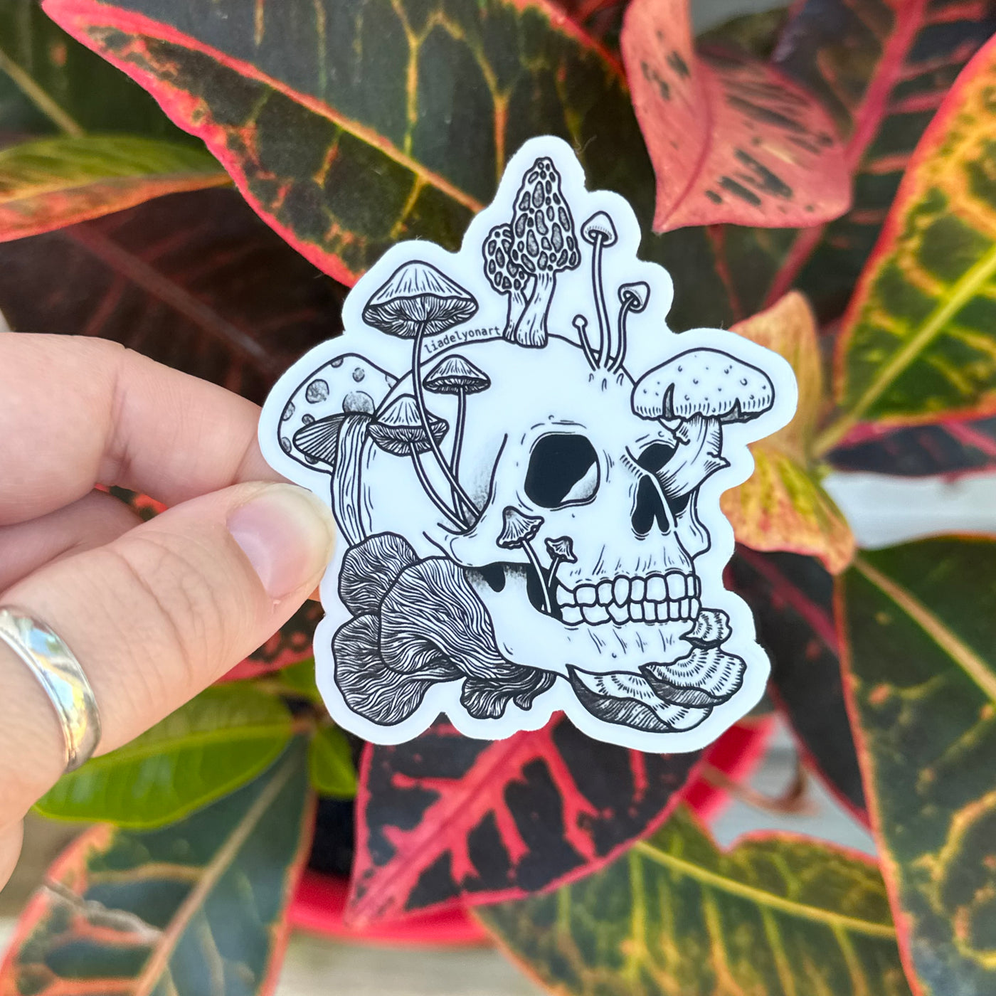 Mushroom Skull Vinyl Sticker, 3x2.6 in.