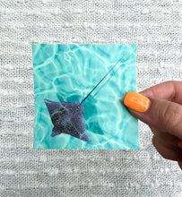 Load image into Gallery viewer, Eagle Ray Vinyl Sticker, 3x3in.
