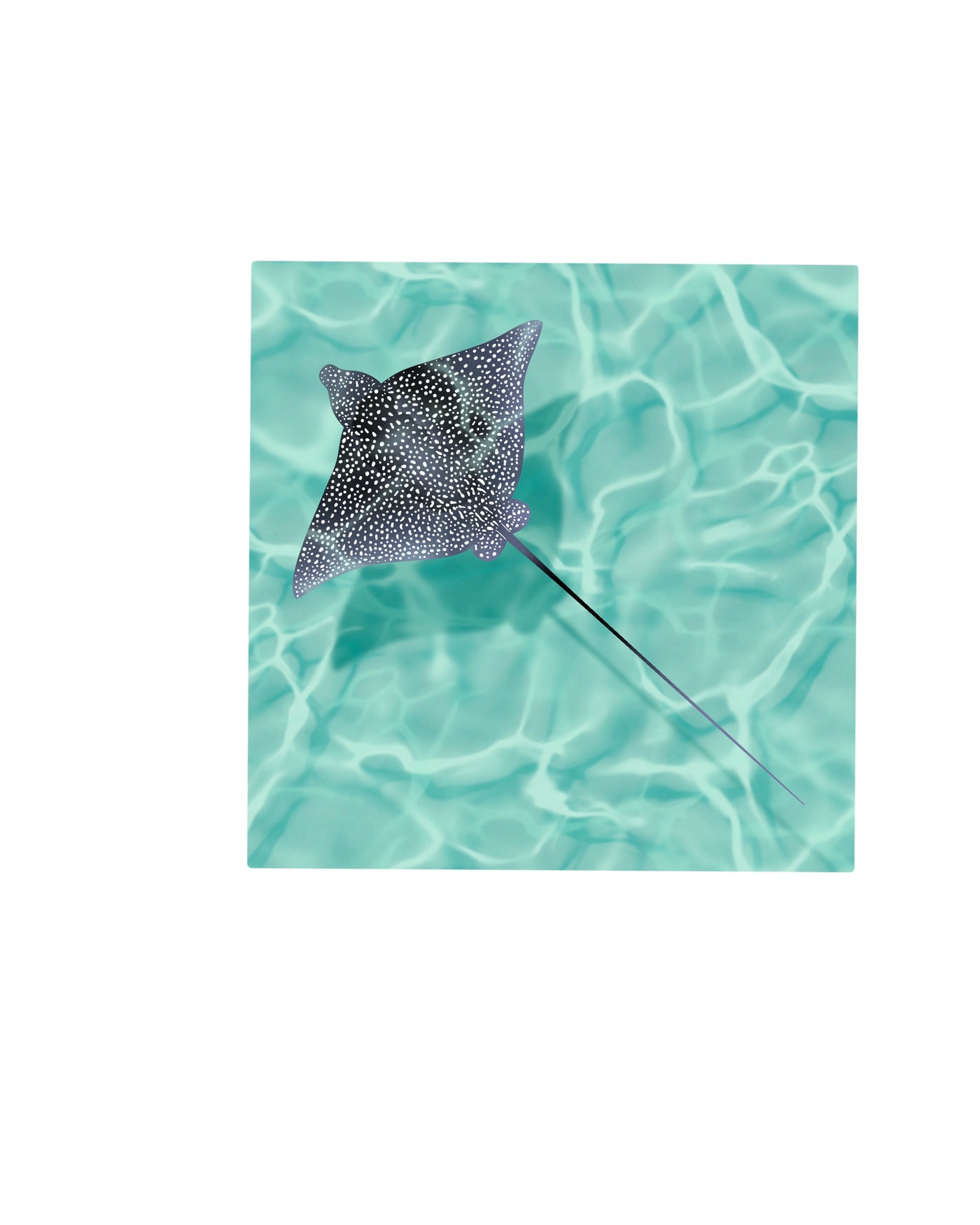 Eagle Ray Vinyl Sticker, 3x3in.