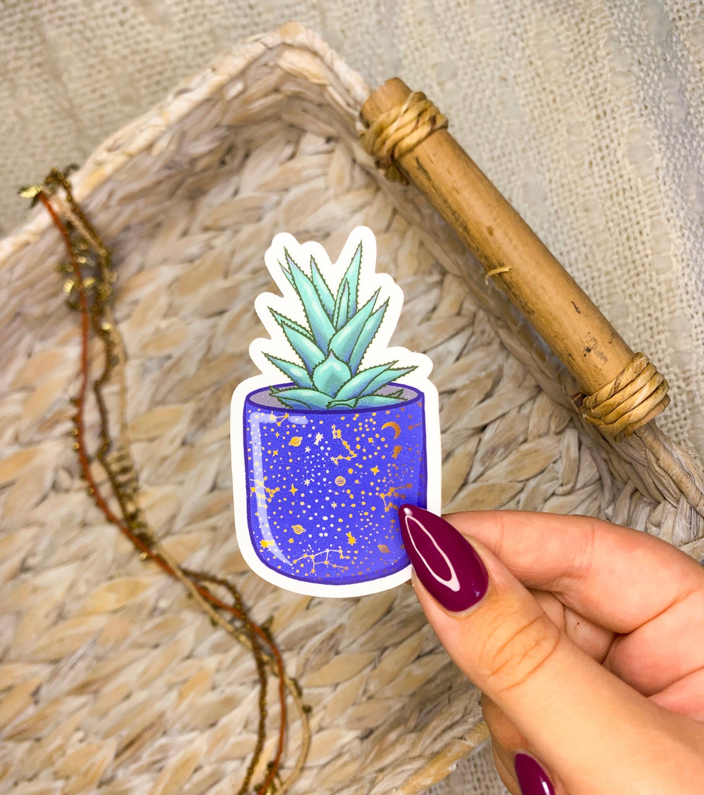 Aloe Constellation Plant Vinyl Sticker, 3x1.7 in.