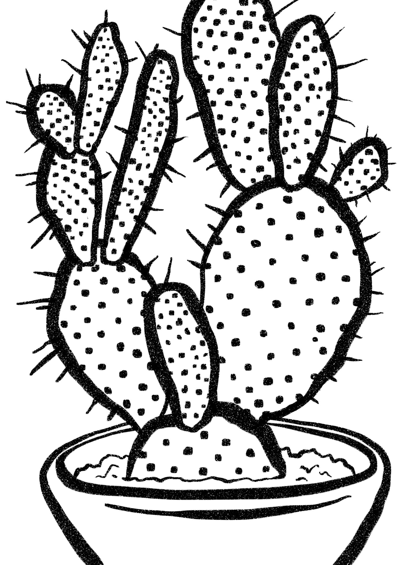 Cactus