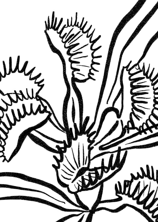 Venus Fly Trap Art Print, 5x7 in.